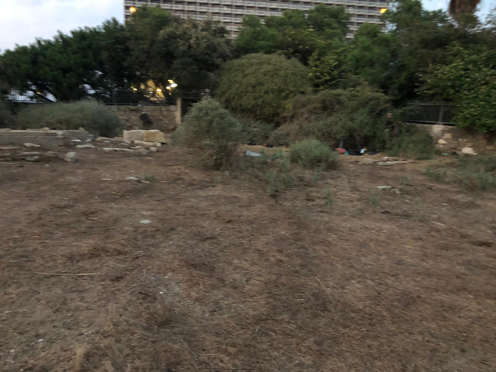 WhatsApp Image 2020-12-03 at 5.57.06 AM (3).jpeg.jpeg